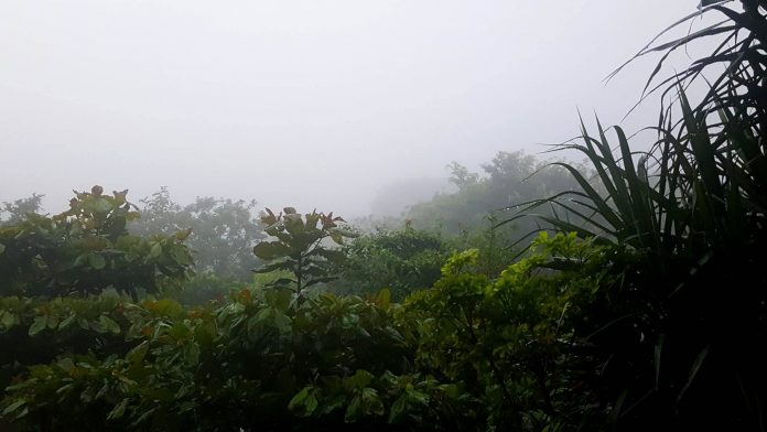 Lluvias
