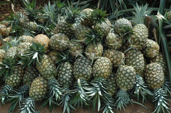 Piña
