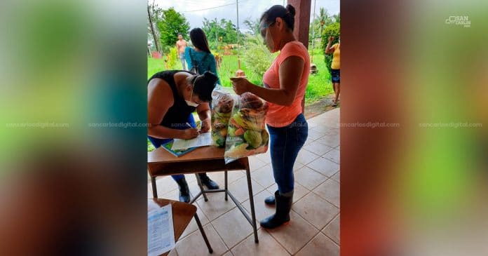alimentacion1